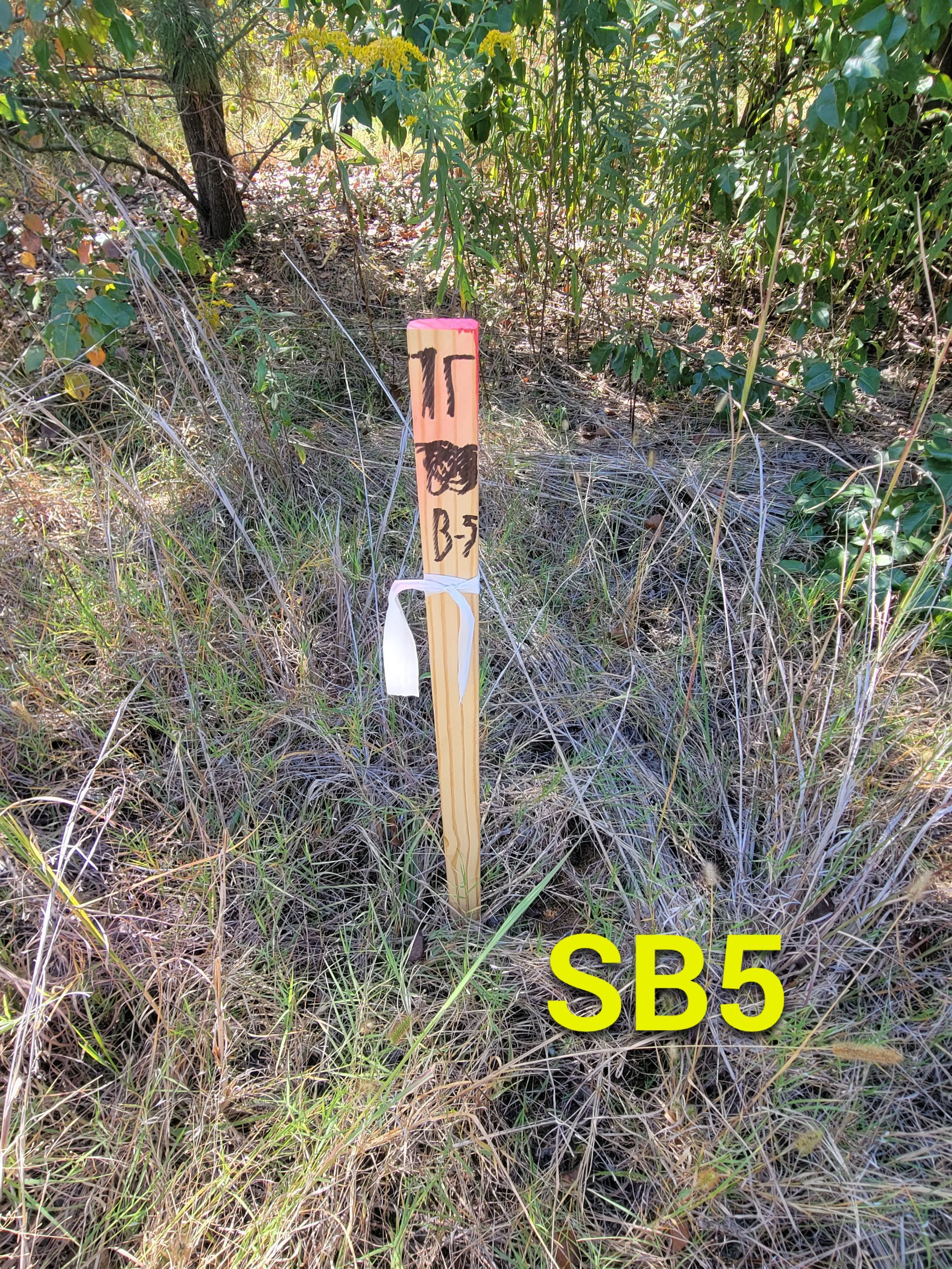 Soil Boring Locations by Alsip Locating Service, LLC