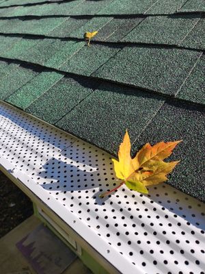 5" Leaf Exterminator Gutter Covers Installed
