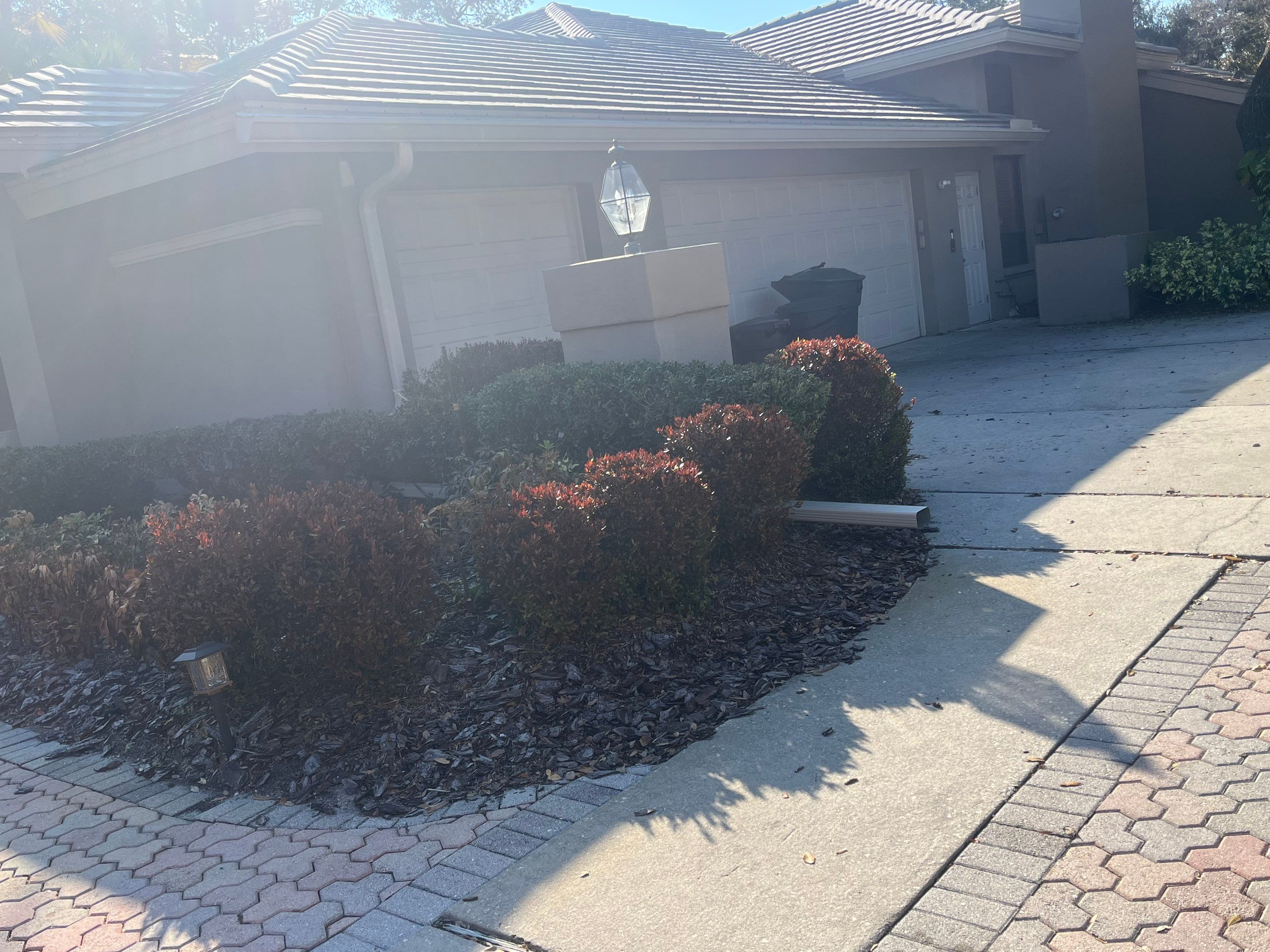 Gutter Repair and Cleaning Gutters in Safety Harbor FL by Gutter Professors