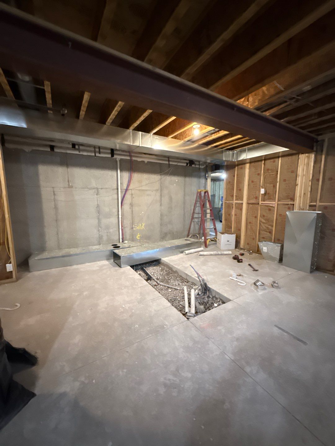 Basement Finishing Project with Home Gym and Sauna in Prospect by Authentic Carpentry