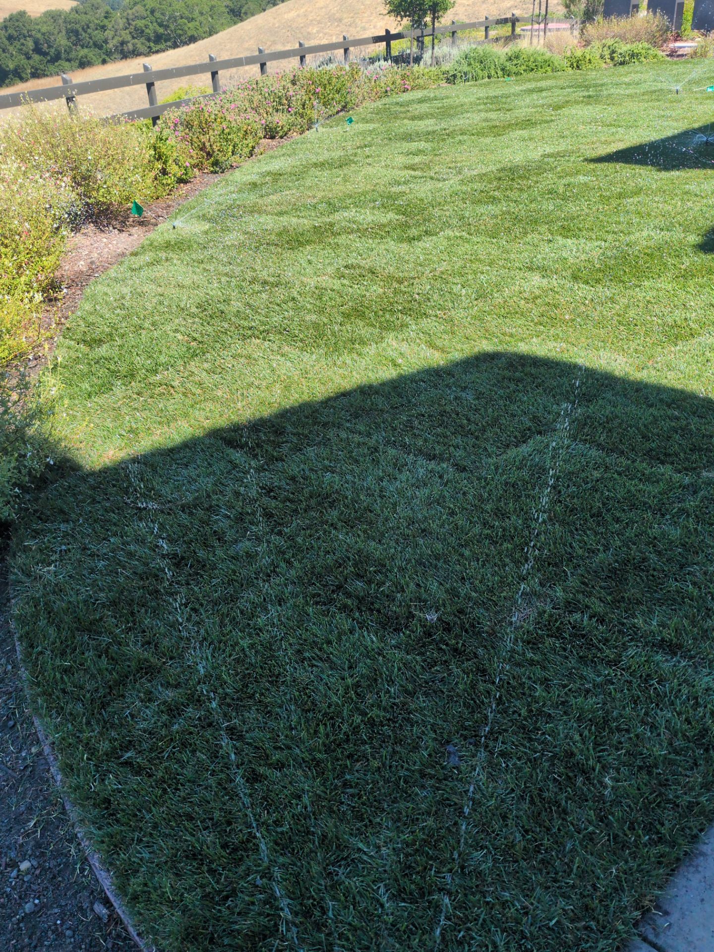 Project in San Ramon by A - G Sod Farms