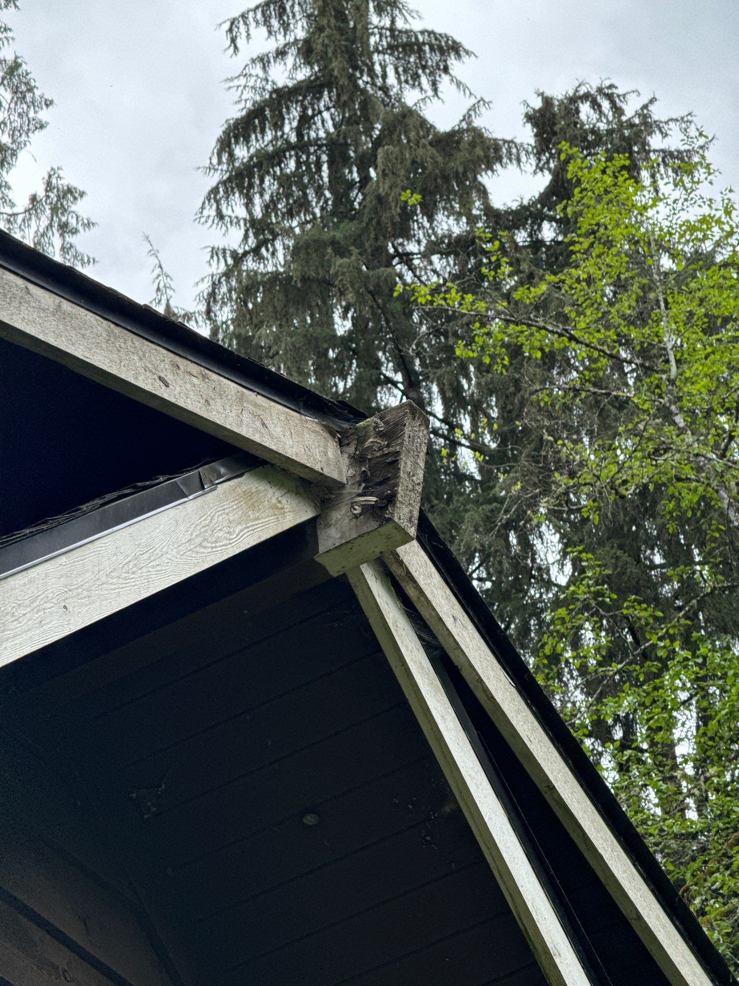 Project by Connolly Construction Company by Connolly Construction Company