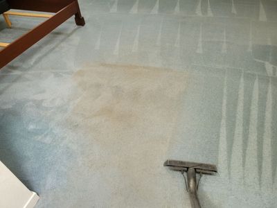 Overdue, Much Needed Carpet Clean