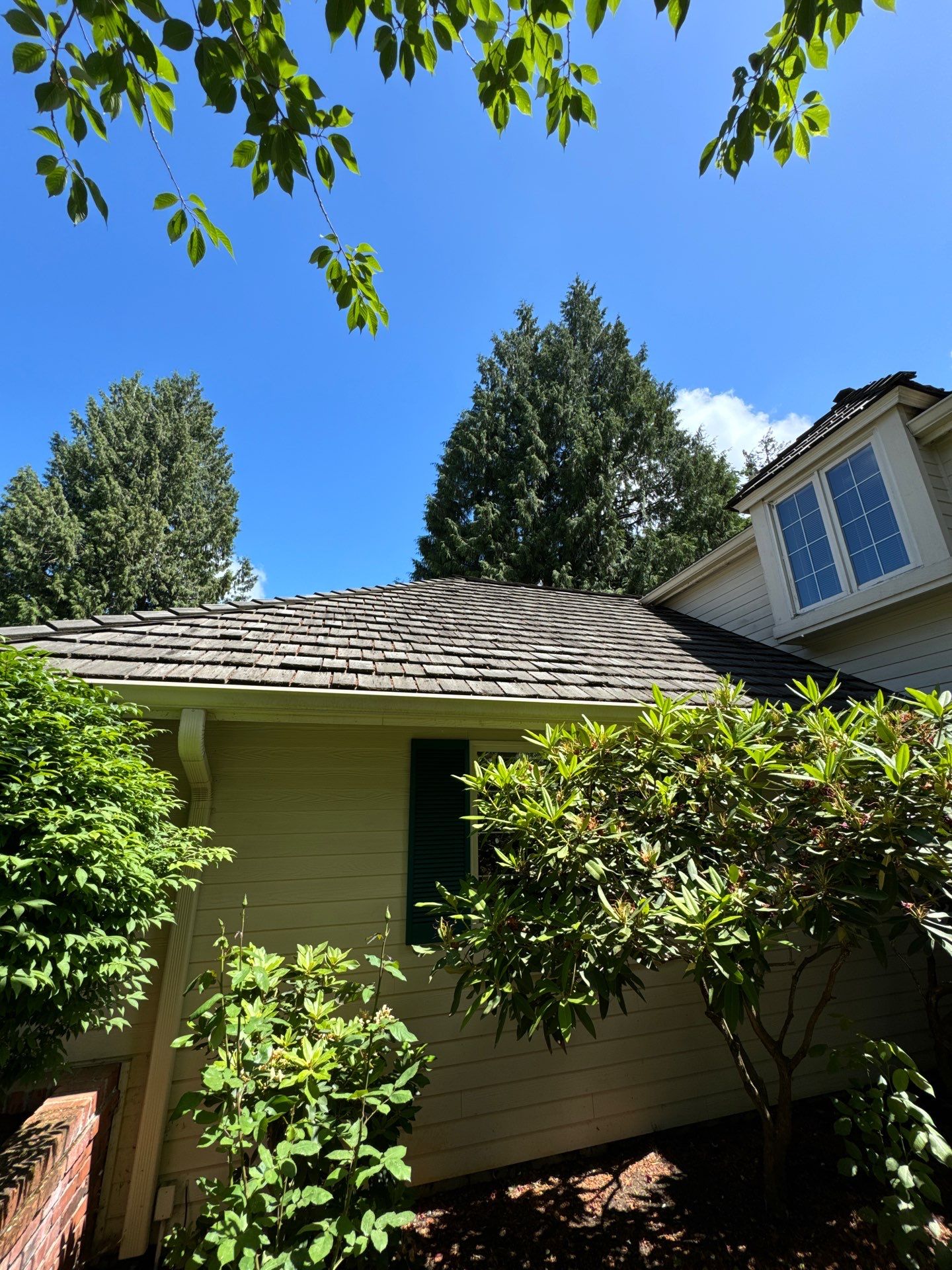 Project in Mill Creek by Peaks and Valleys Construction