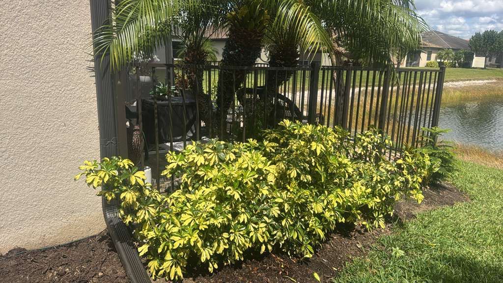 Bronze Aluminum Fence in Naples by True Fence LLC