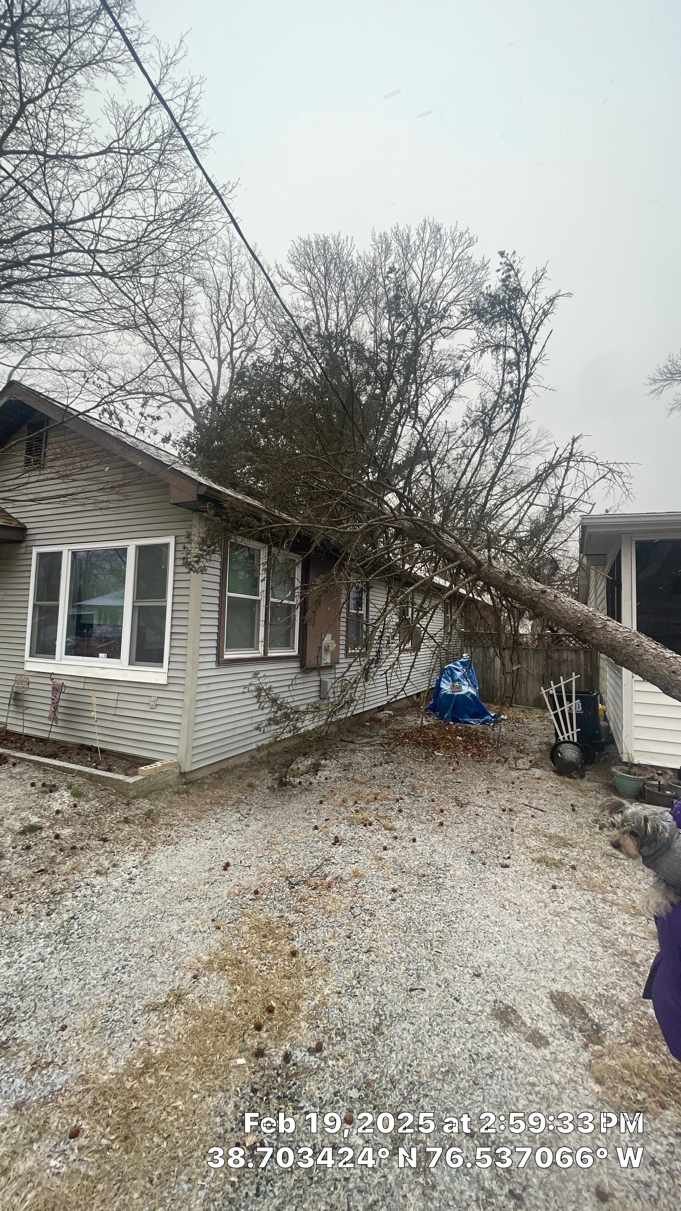 Gutter and roof replacement by Window Depot of Annapolis