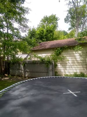 Tree Removal using Tree Removal