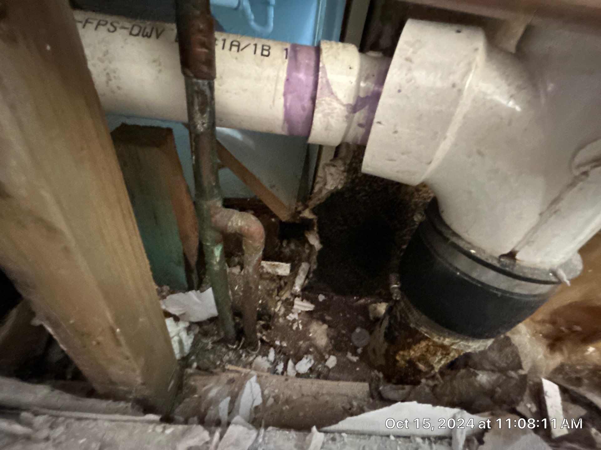 Mold Inspection by Ampm Restoration Services