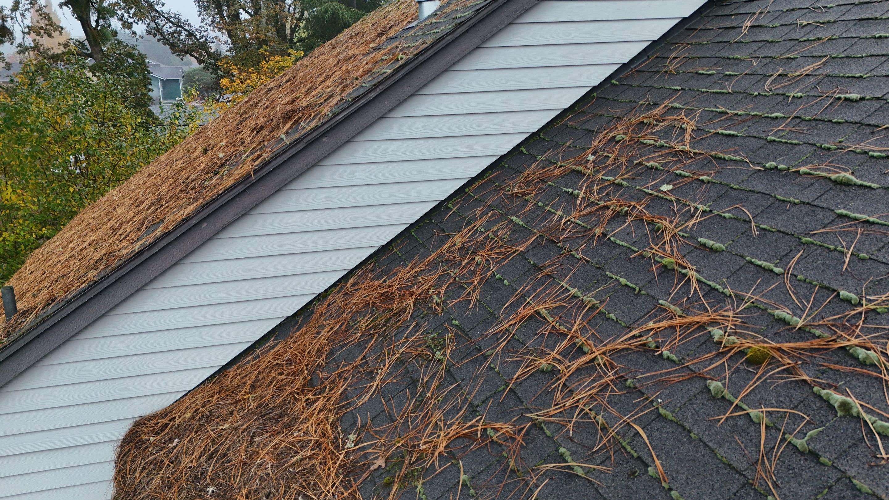 Severe Roof Maintenance in Beaverton by Prodigy Roof Solutions