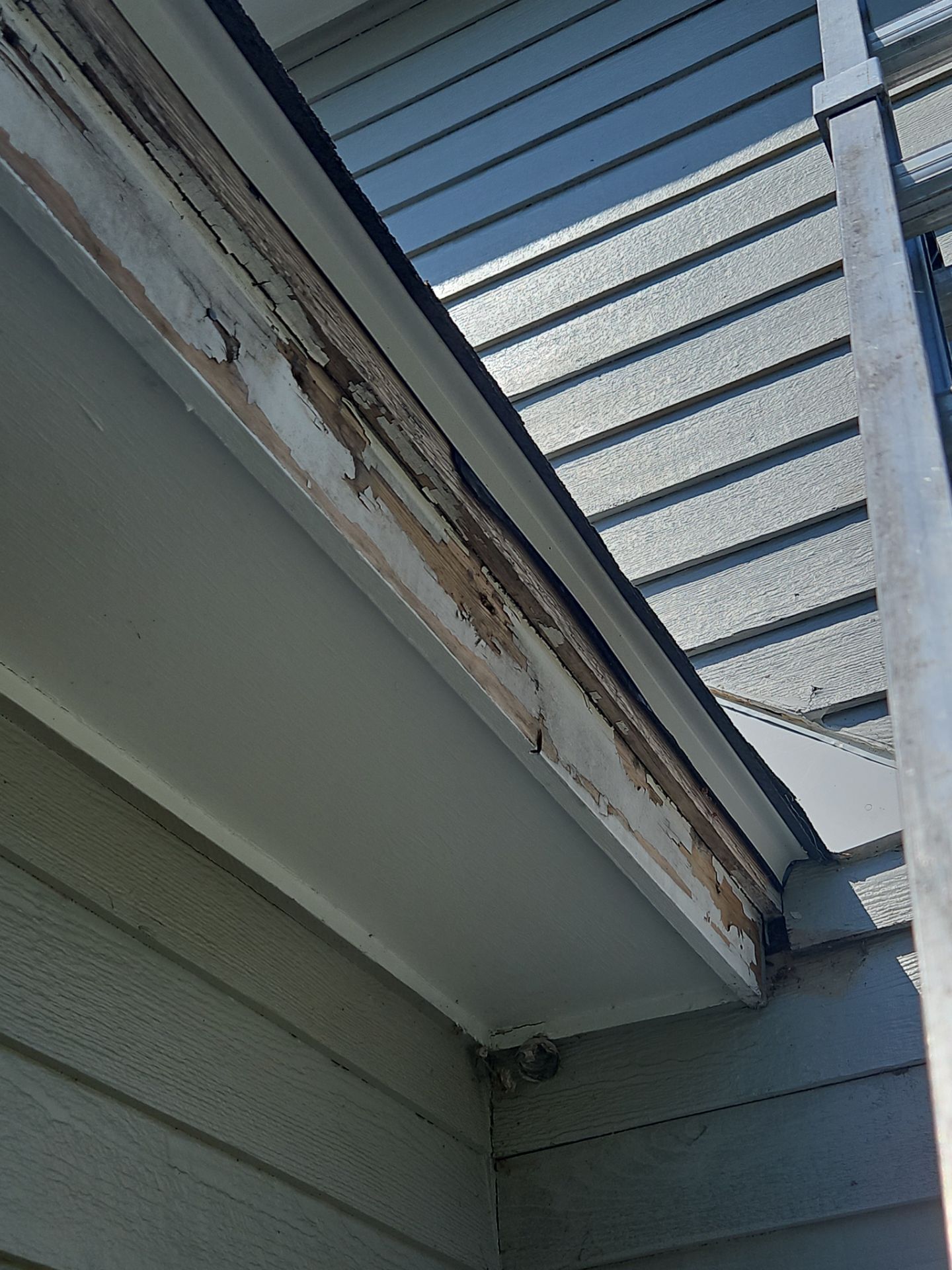 Gutters, Roofing & Siding | Andover by Mighty Dog Roofing of Greater Middlesex County
