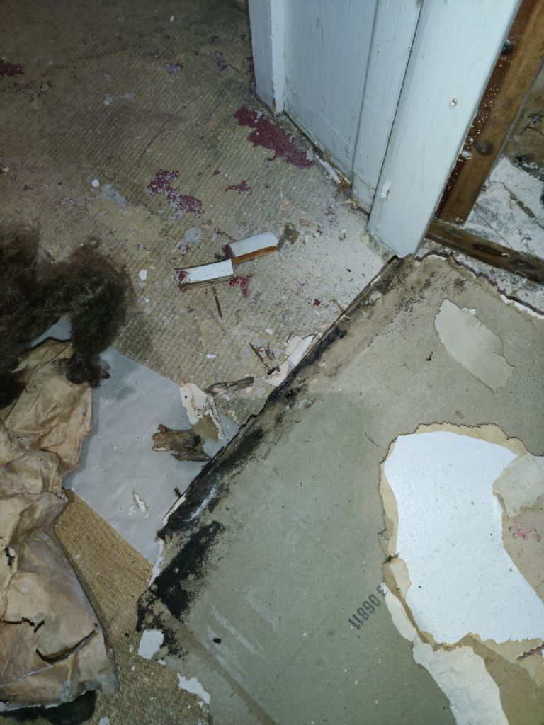 Mold Remediation in Basement by Accountable Home Services