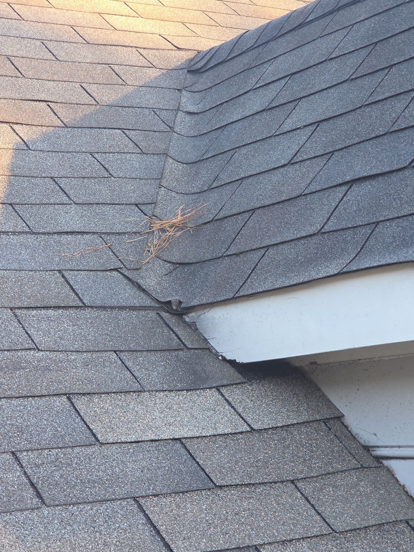 Asphalt Roof Replacement in Birmingham by NANOROOF Alabama