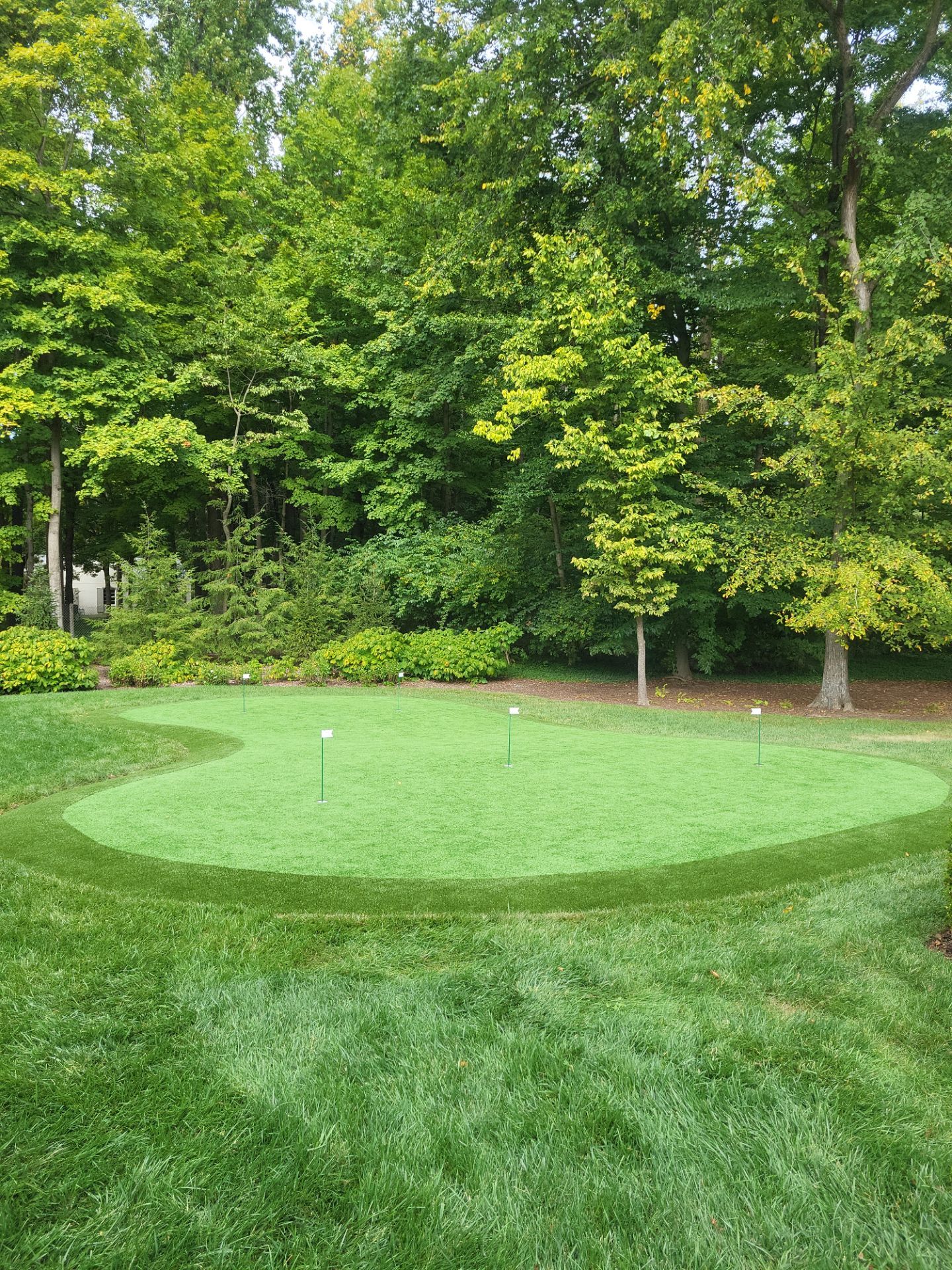 Green Replacement in Indianapolis, IN by Southwest Greens Midwest