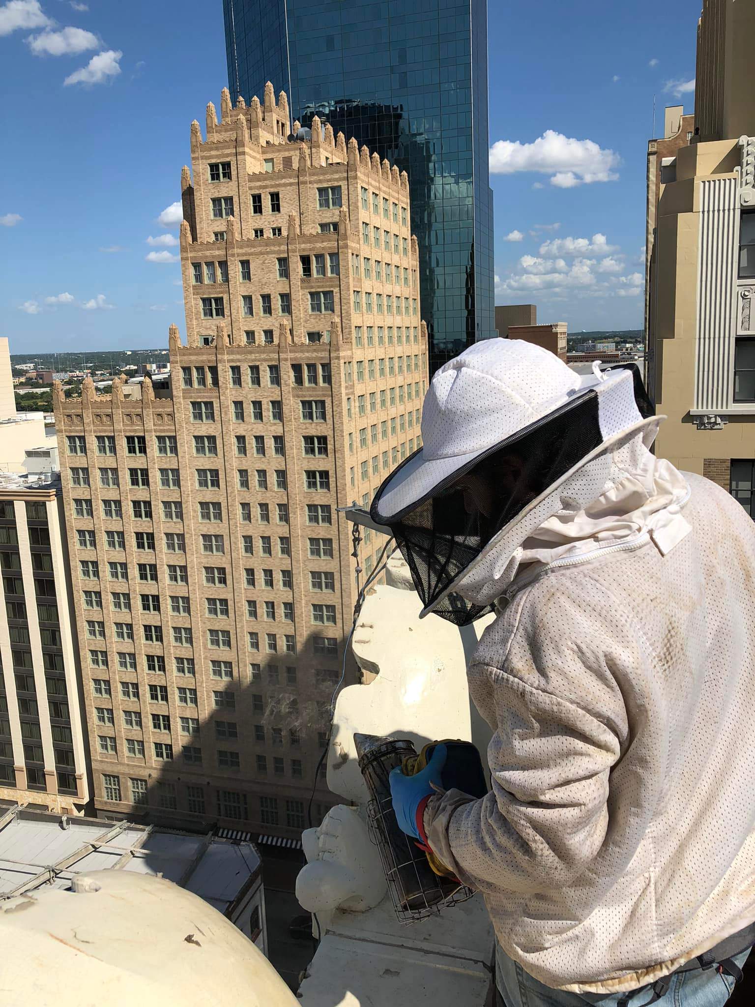 Downtown Highrise by Rockwall Honey Bee Company