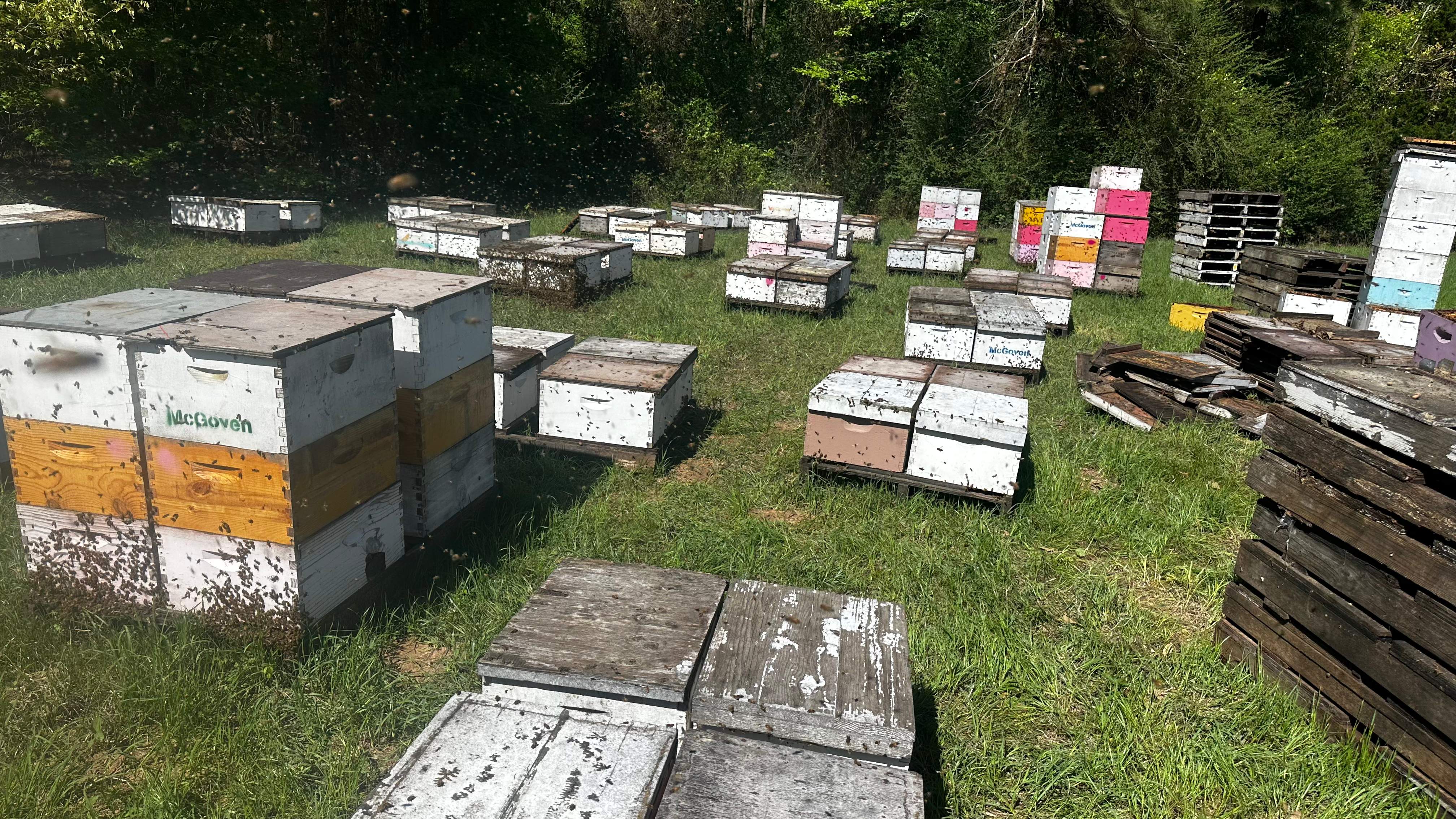 Traylor's Hay Meadow Apiary by Rockwall Honey Bee Company