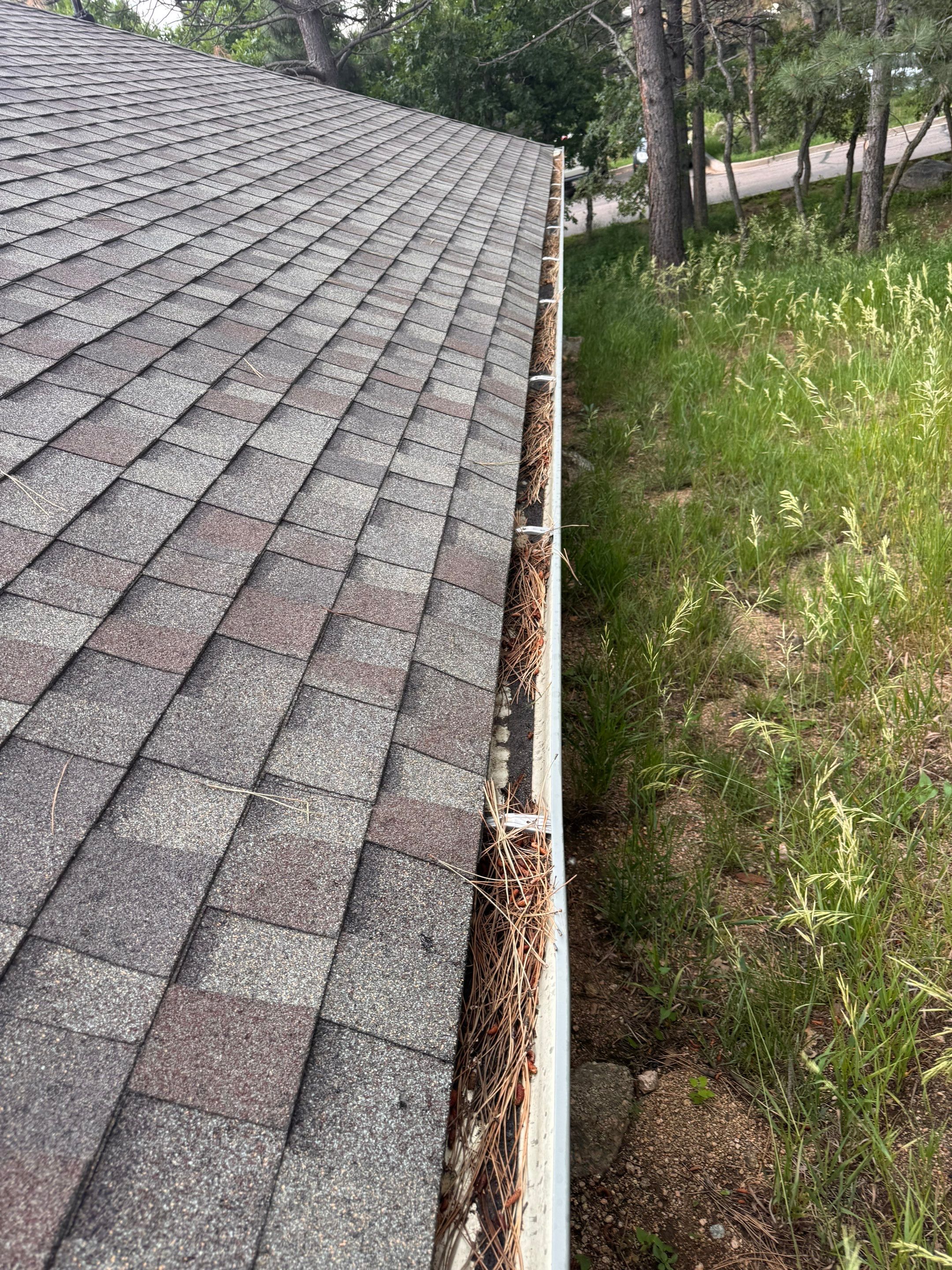 Commercial gutter cleaning Grand Junction before photo with filled gutters