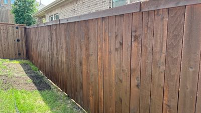 Fence Staining using Fence Stain