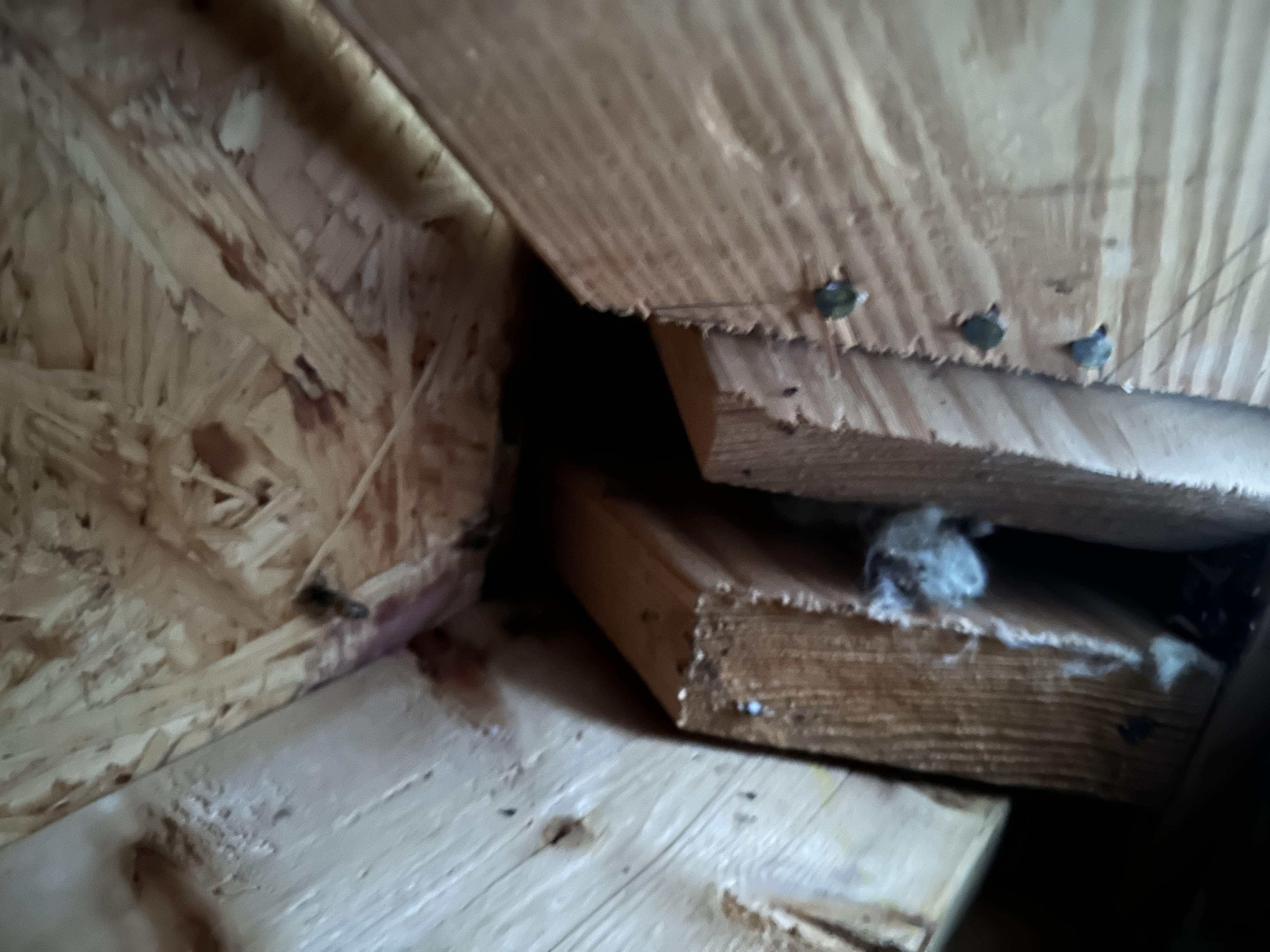 Roof Soffit by Rockwall Honey Bee Company