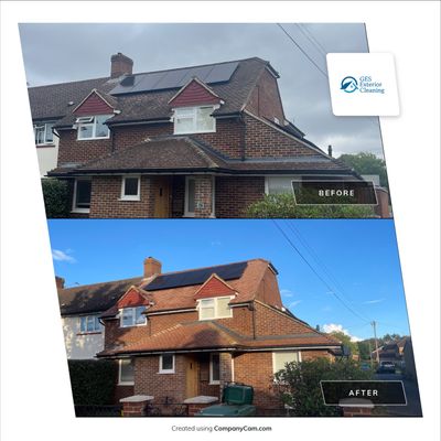 Roof Clean and Coping Stones using Honda 15lpm Low Pressure Washing Machine