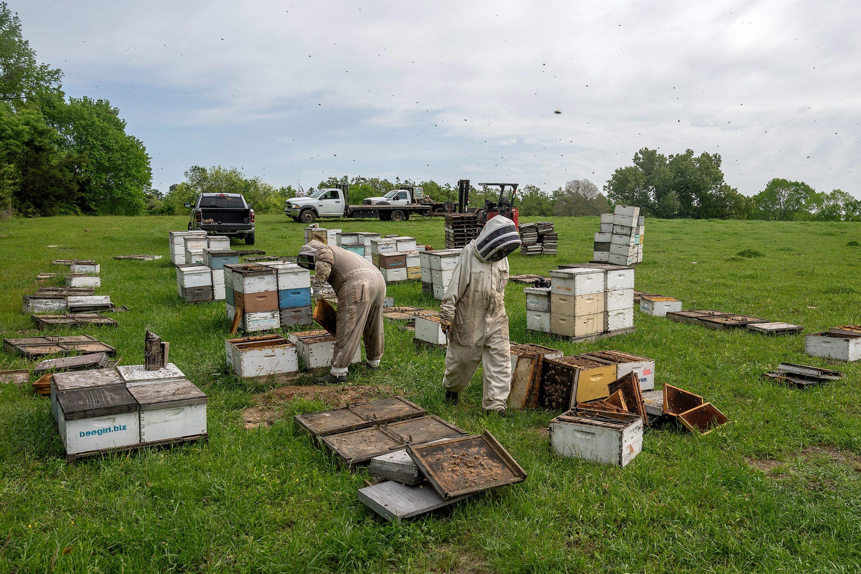 Splits in East Texas by Rockwall Honey Bee Company