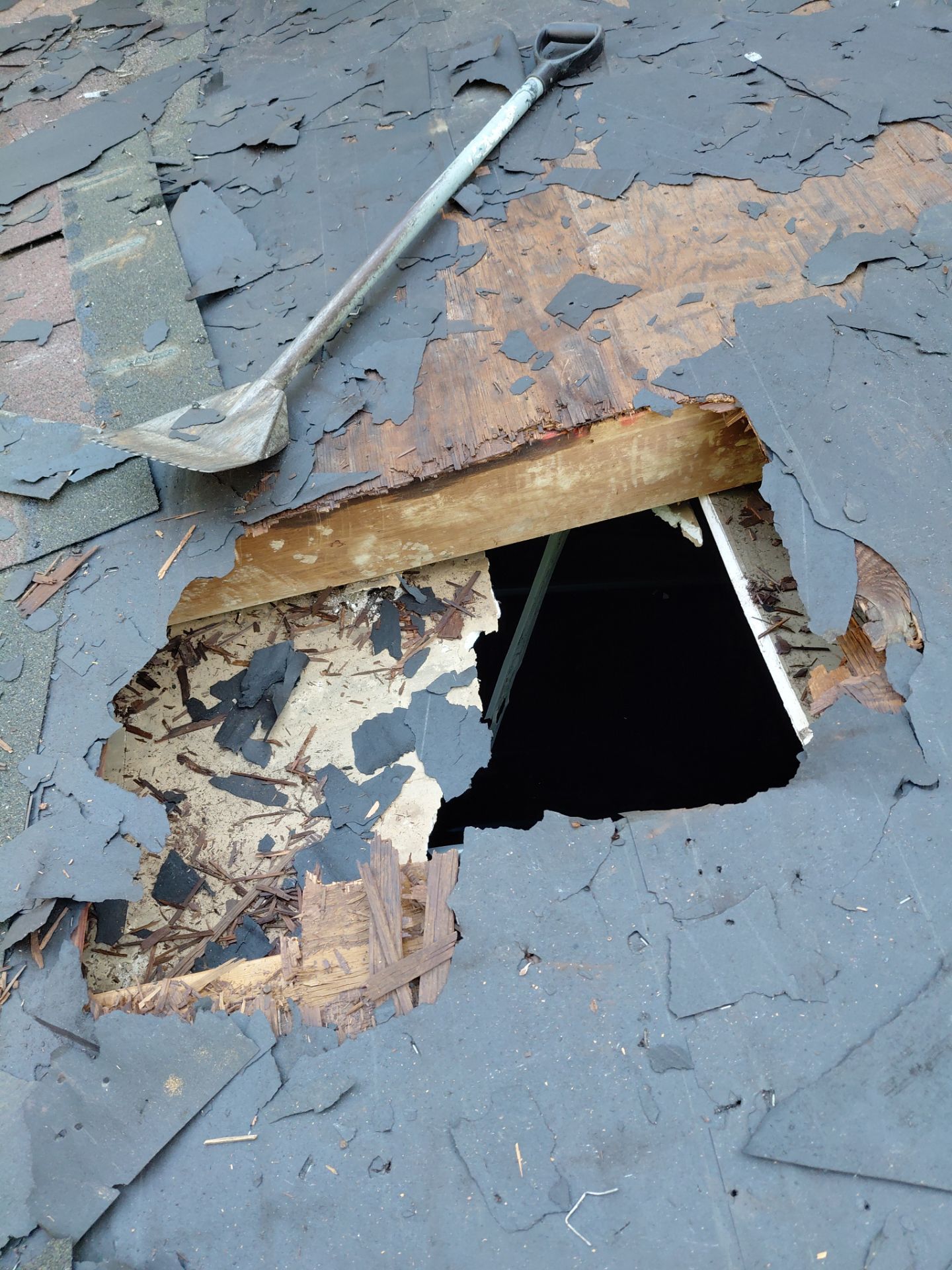 Alexandria: Residential Roof with CertainTeed Landmark Pro in Max Def Burnt Sienna by RM Banning, Inc.