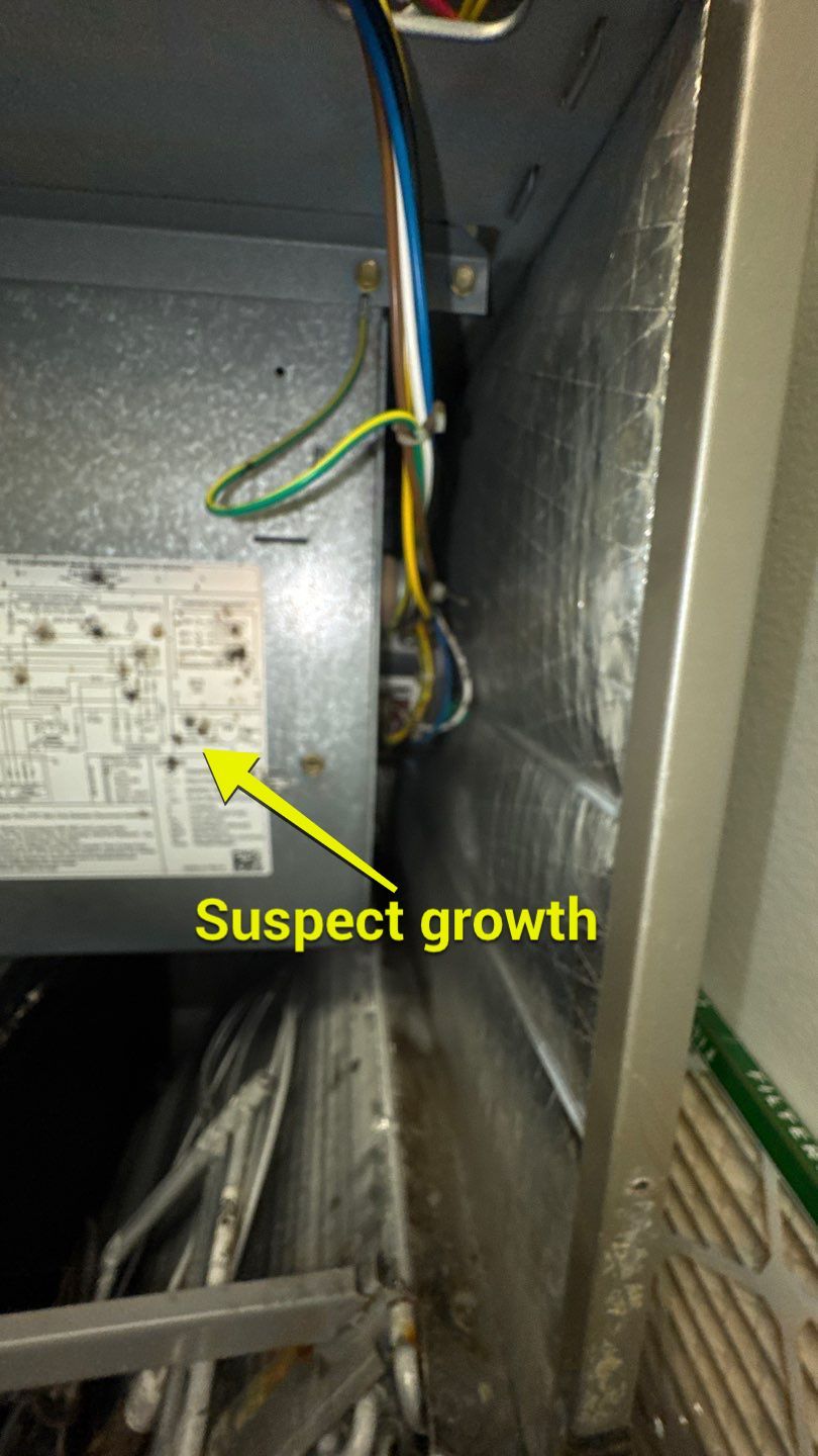 Air Duct Cleaning in Groveland by Hygienic Air, Inc