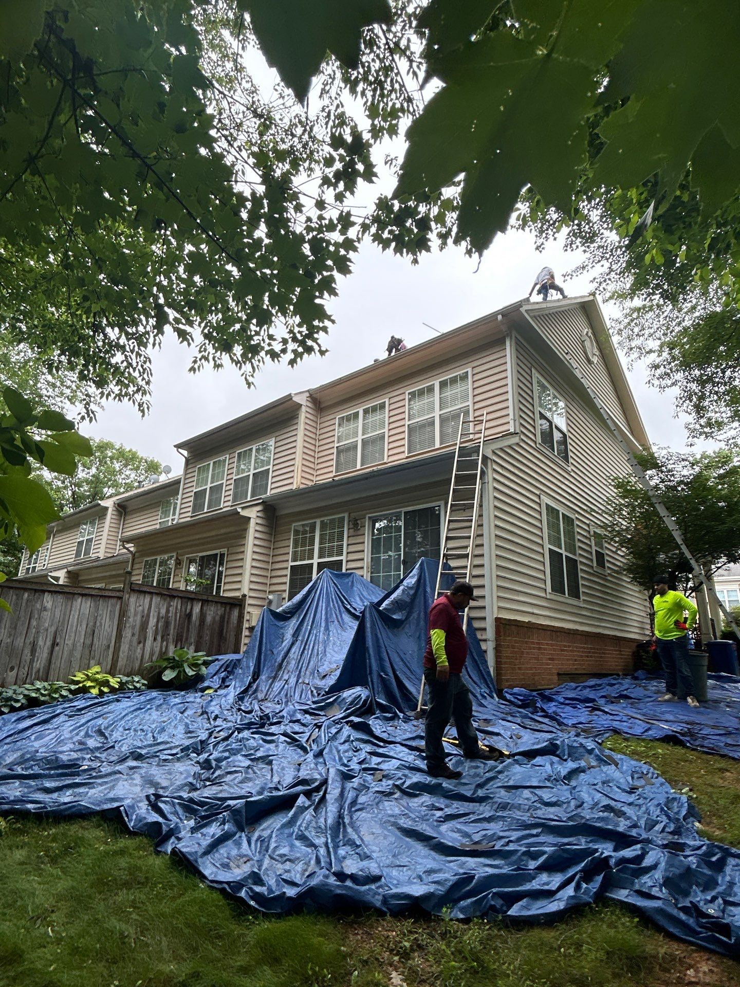 Reston Roof Replacement with CertainTeed Landmark PRO in Max Def Moire Black by RM Banning, Inc.