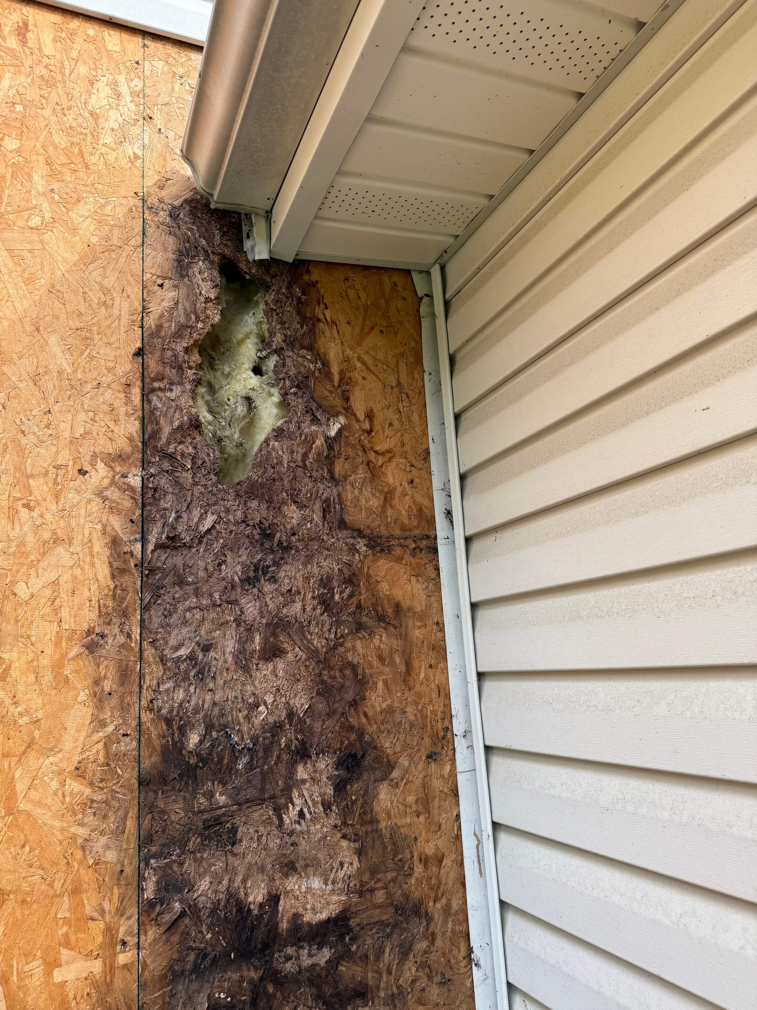 Siding Repair by Stofan Construction LLC
