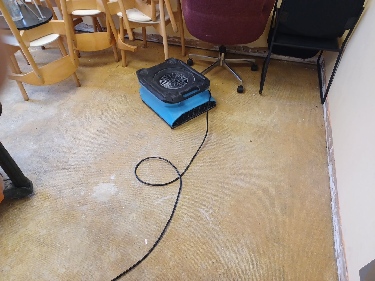 Project in Commerce Twp by EzDry Water Mitigation & Property Restoration