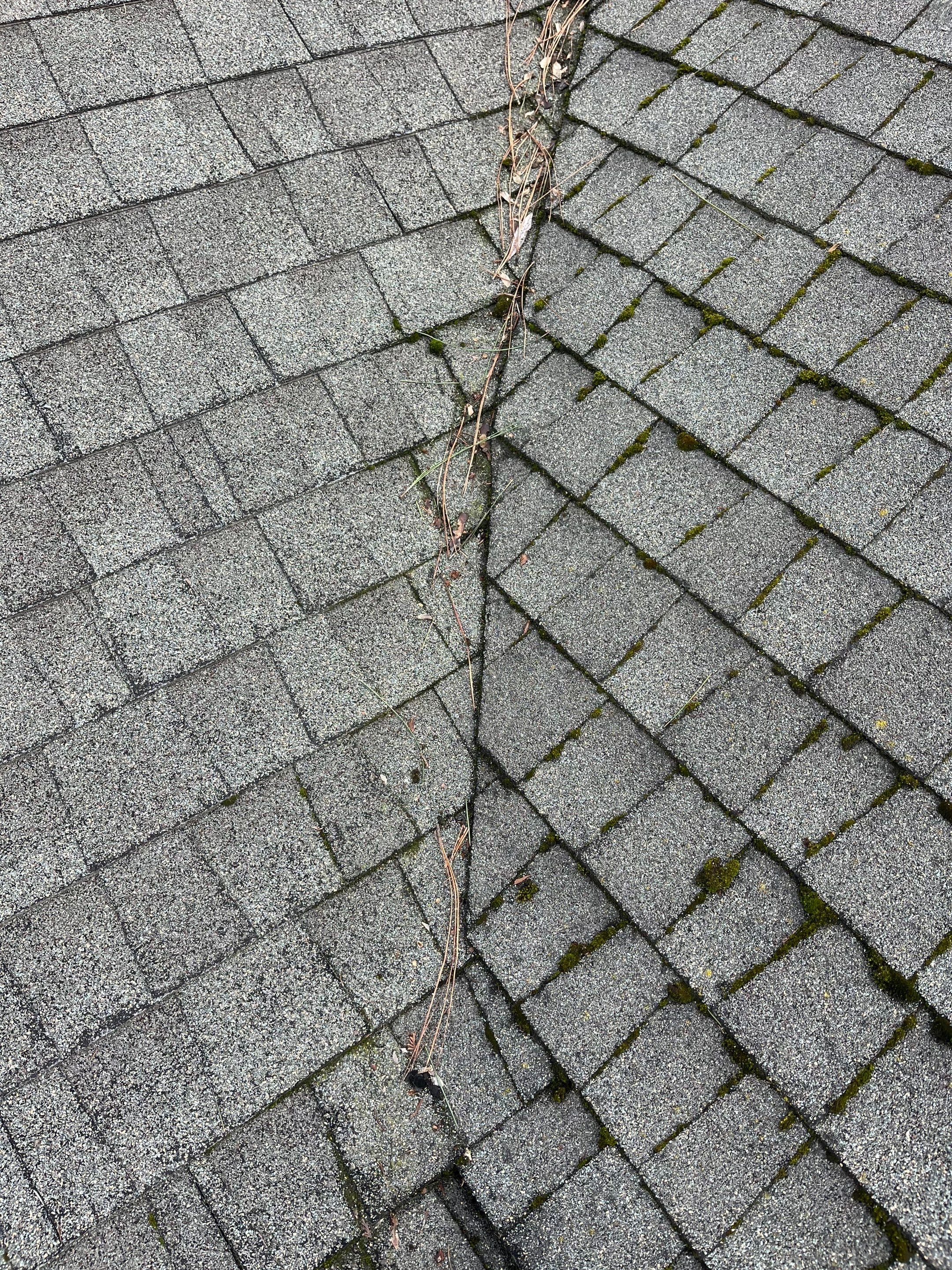 Project in Spokane by Connolly Construction Company