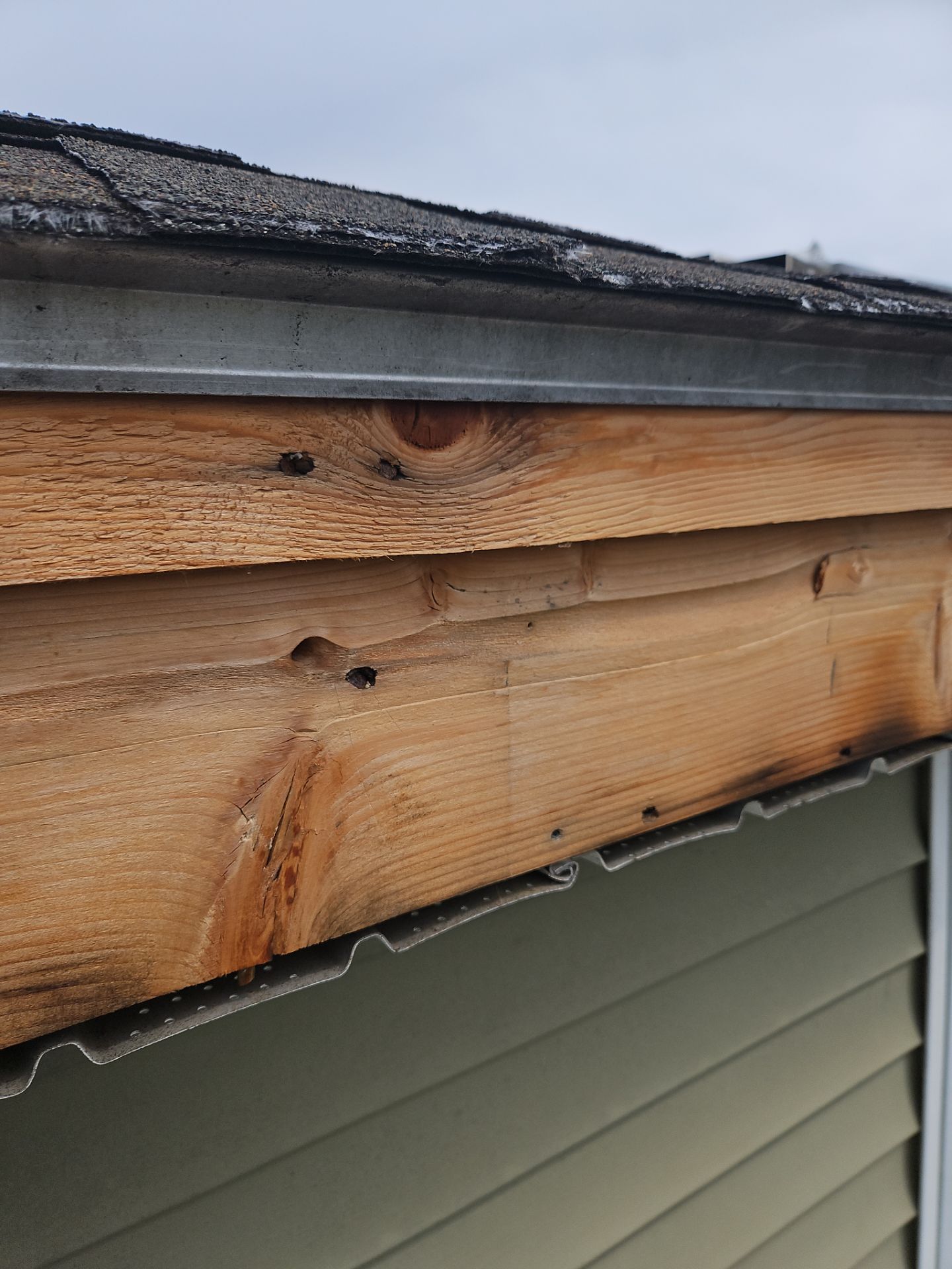 Roof Repair & Fascia Trim Work in Lowell, MA by Mighty Dog Roofing of Greater Middlesex County