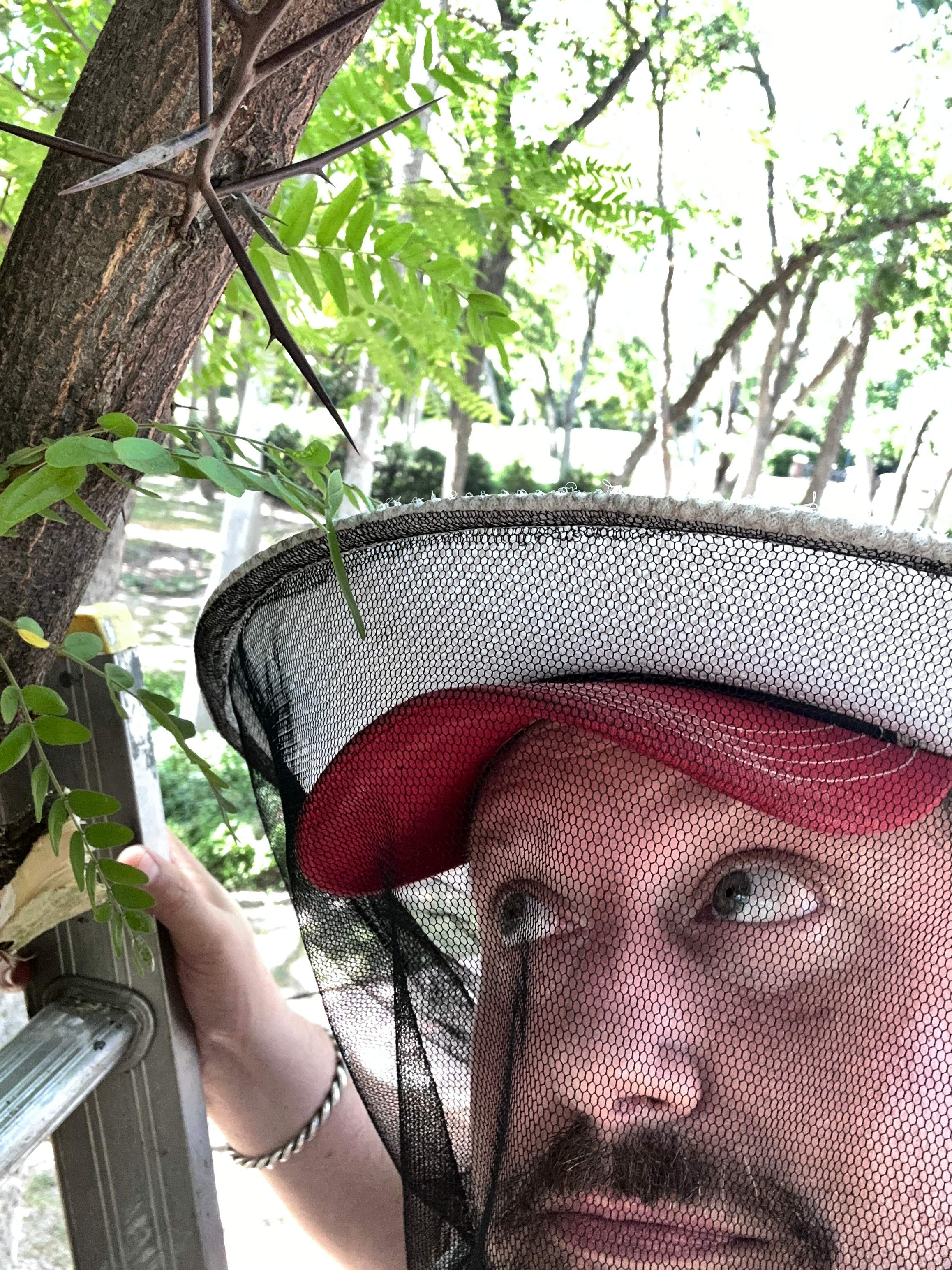 Two More Trees, One More Yard by Rockwall Honey Bee Company