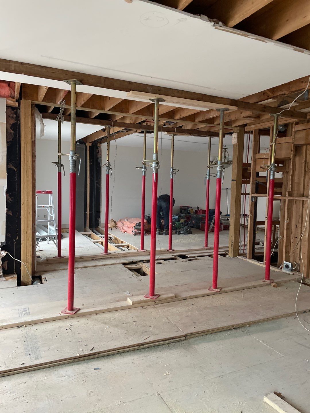 Large scale renovation by Eco-Nature Construction Inc.