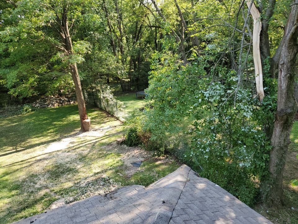 Storm Damaged Tree Removal  by Mike Jones & Sons Tree Service LLC 