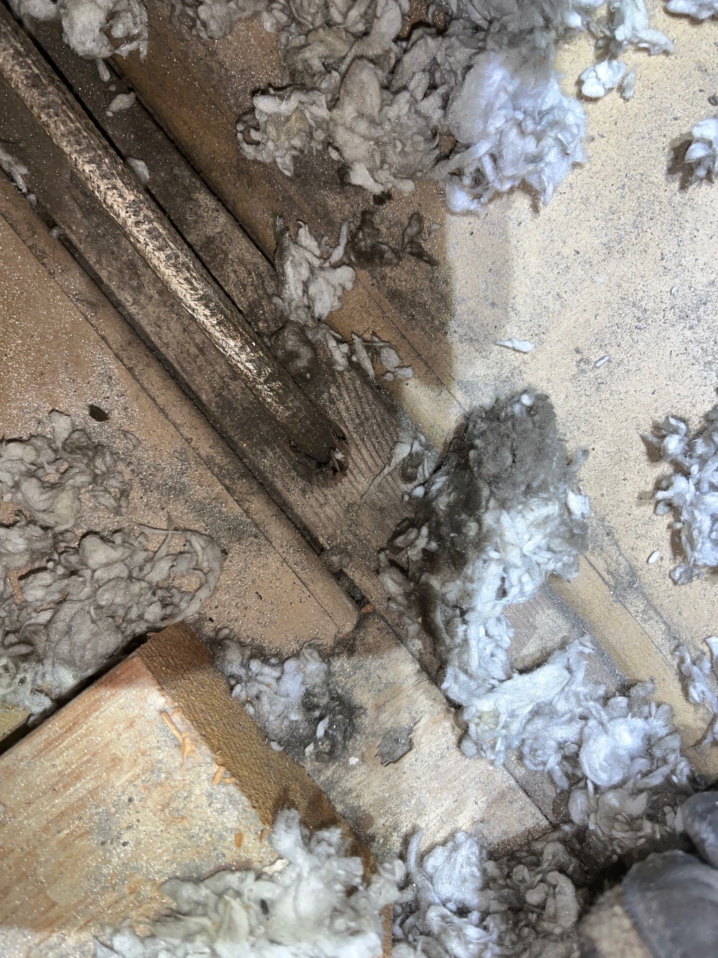 Attic Insulation and Air Sealing Upgrade in Castle Shannon by Home Environment Solutions