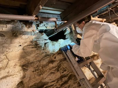 Project in Hinsdale