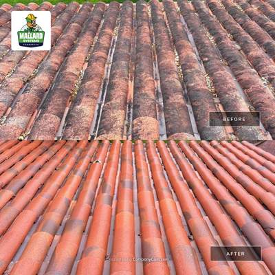 Clay Barrel Tile Roof Cleaning