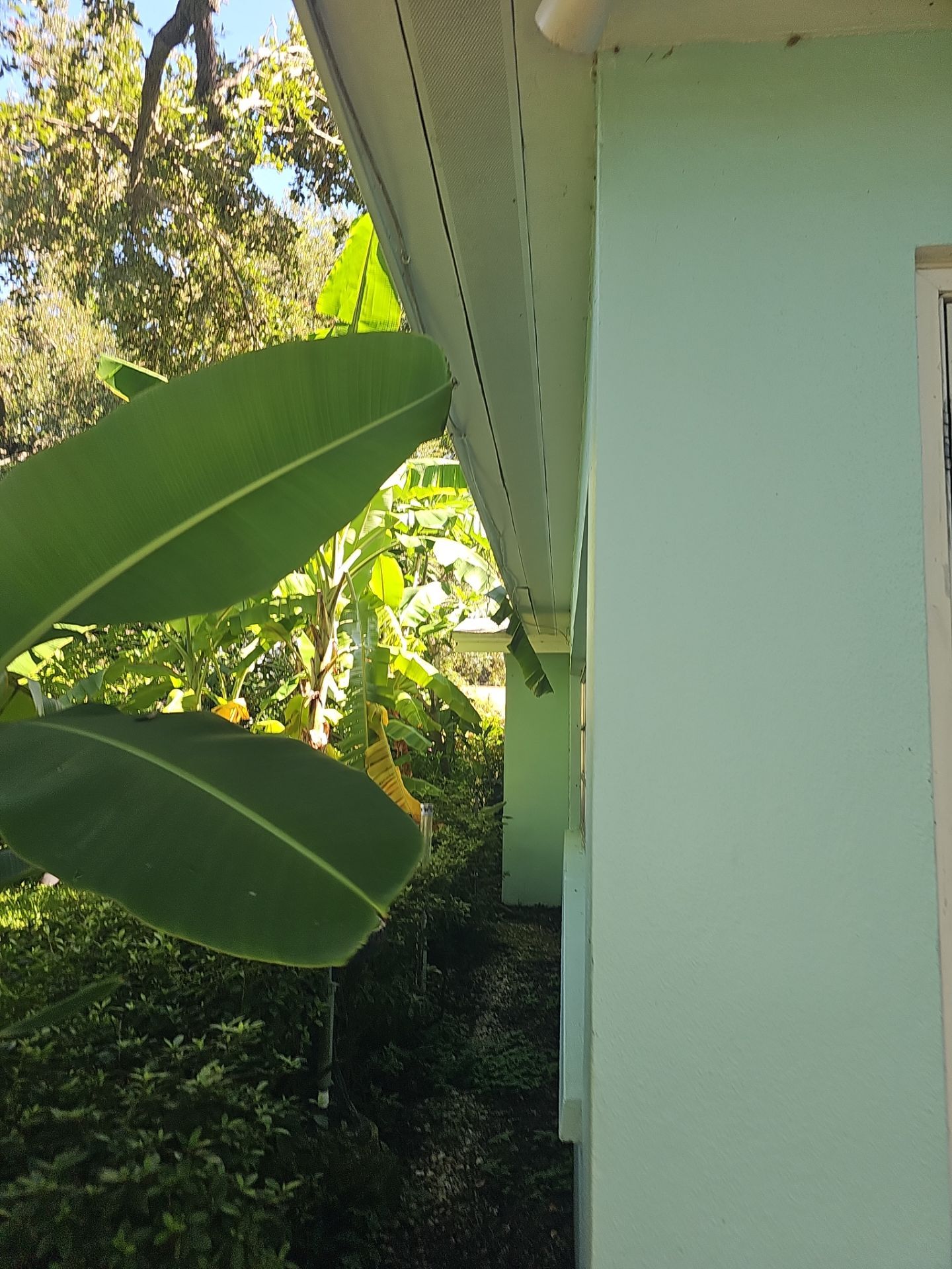 Project in Clearwater 33764 by Mitchell Roofing Company LLC 