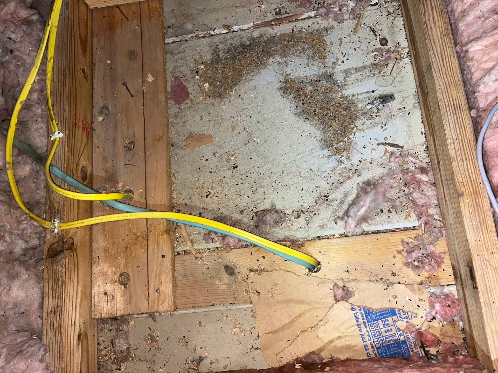 Addressing Attic Mold and Upgrading Insulation in Cranberry Township, PA 16066 by Home Environment Solutions