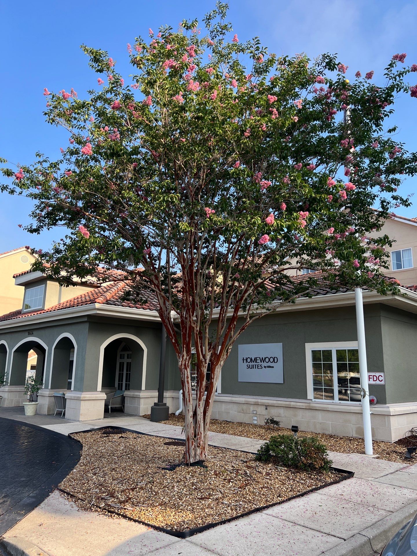 Homewood Suites | Tree Service by ProGreen Services