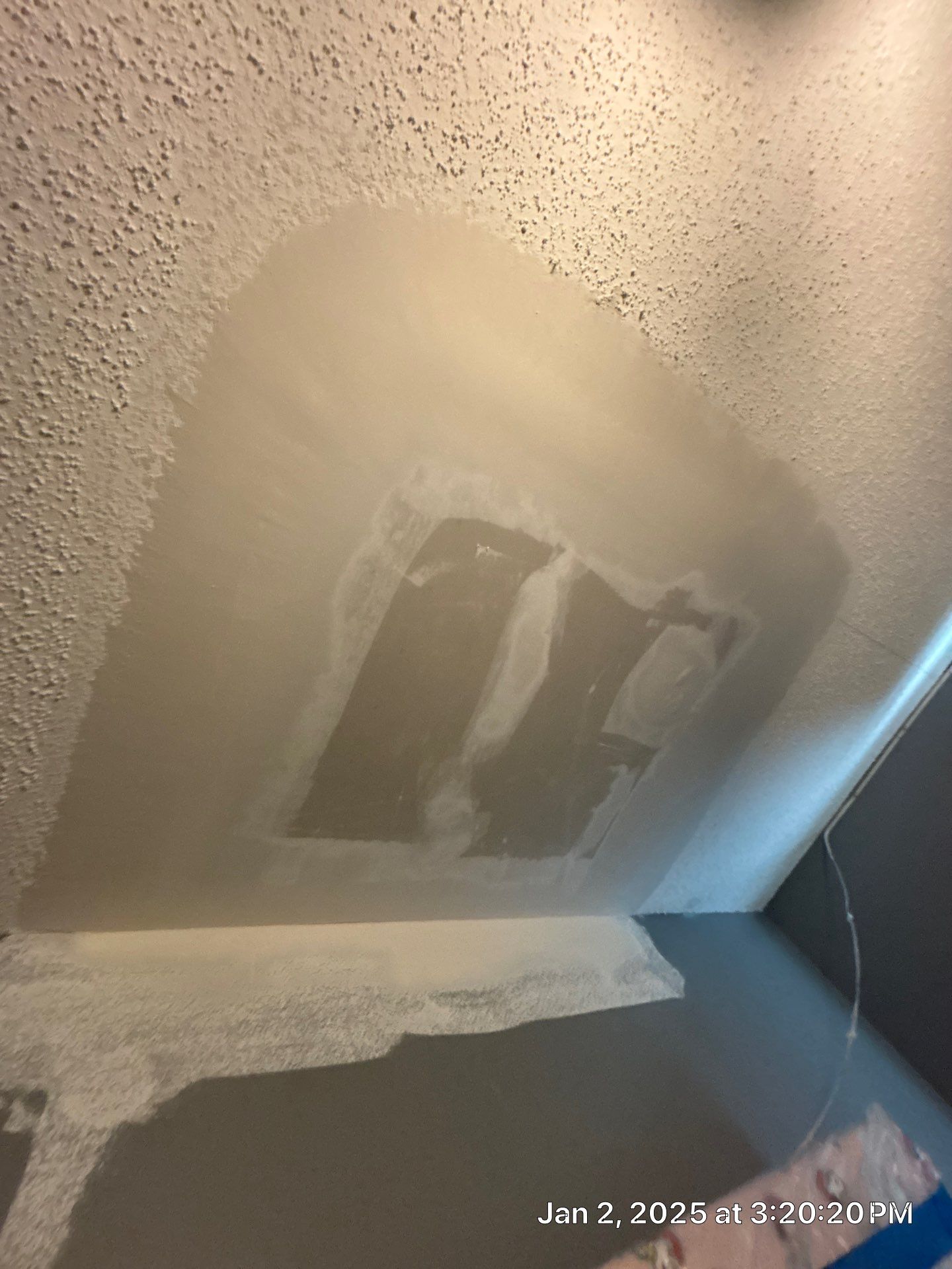 Pebble Springs Water Mold by Ampm Restoration Services