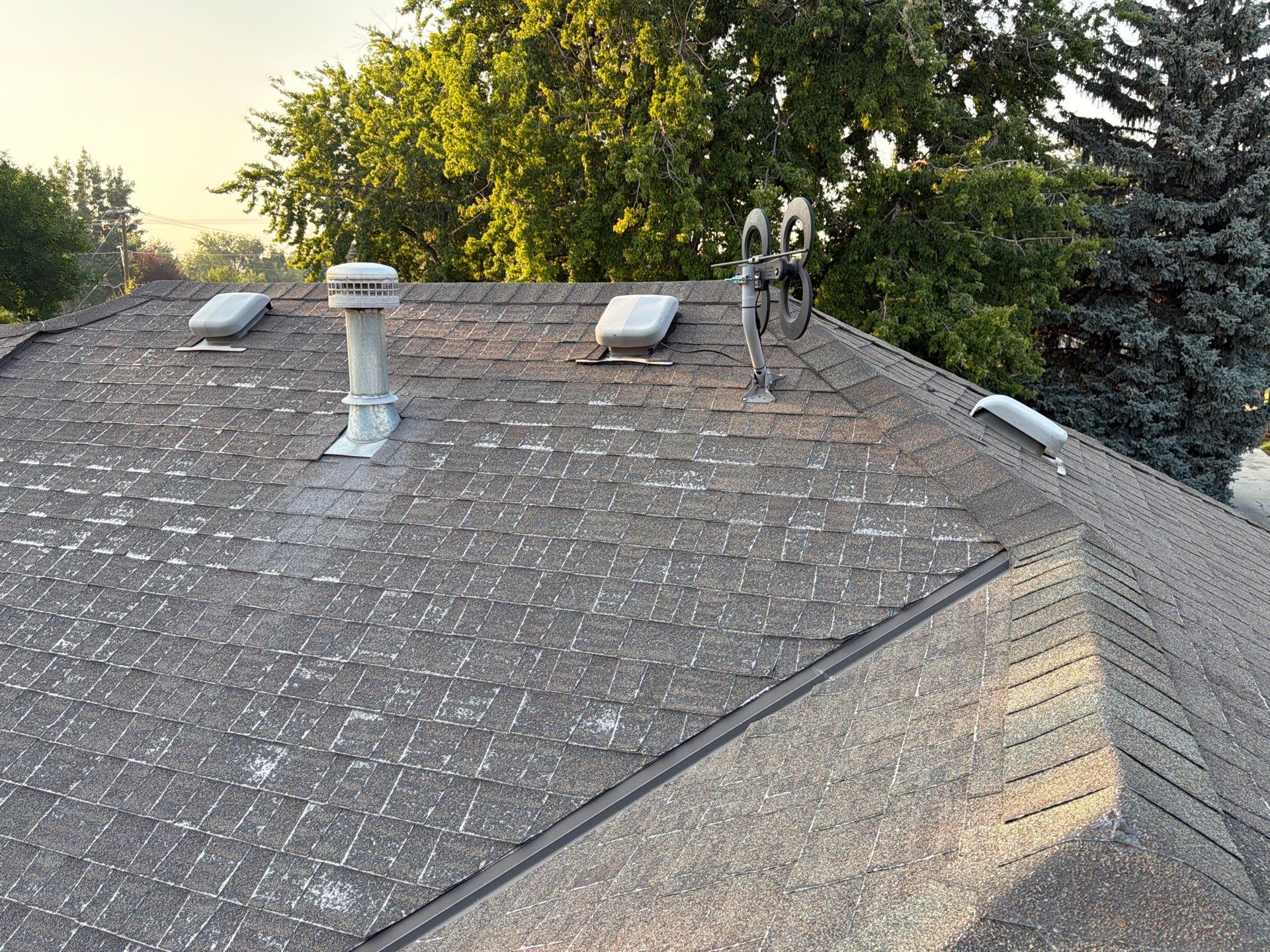 Residential Roof Replacement and Decking Repair in Boise by Olive Roofing