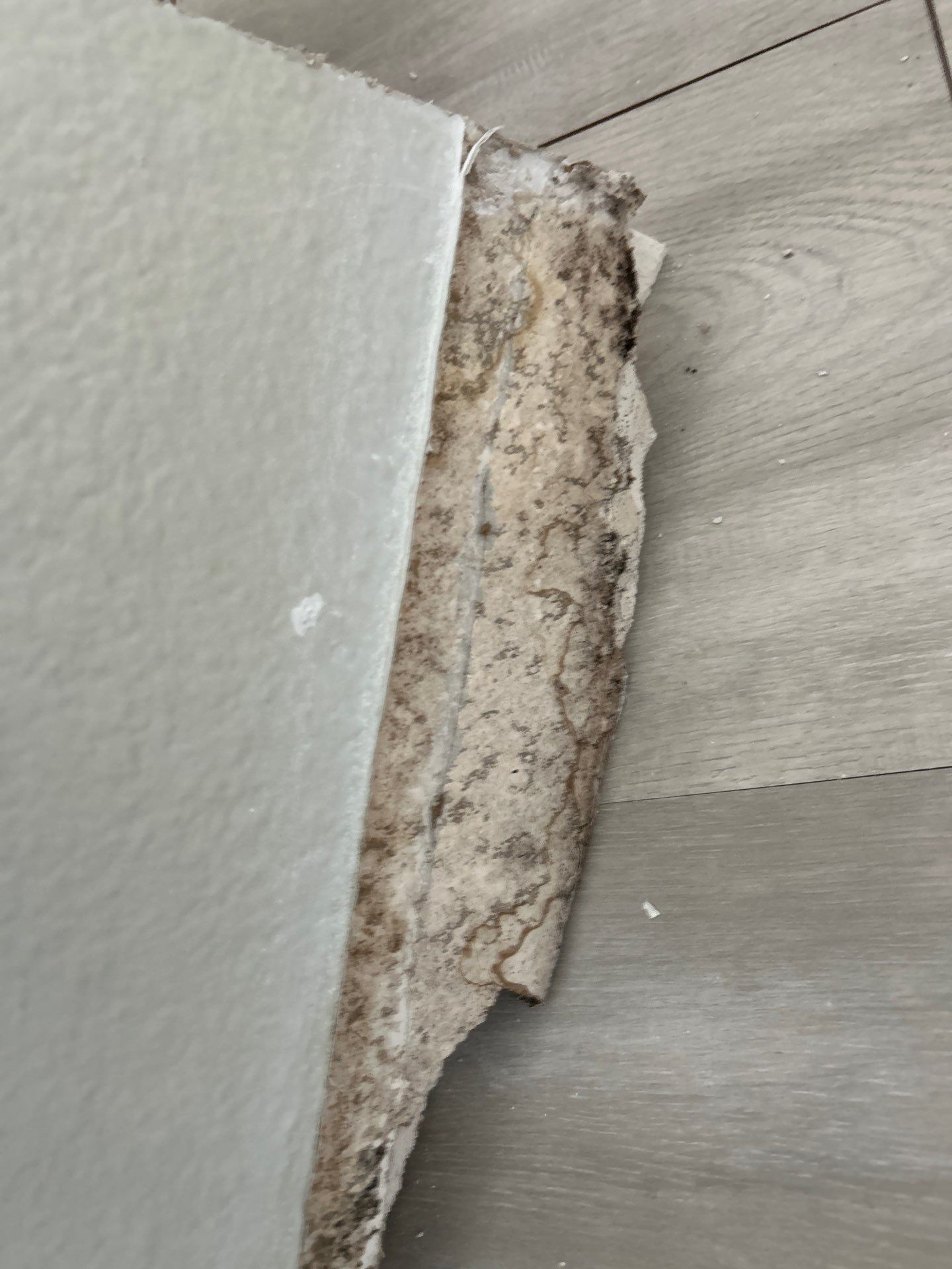 Water Damage Restoration In Apollo Beach, Florida by Ampm Restoration Services 