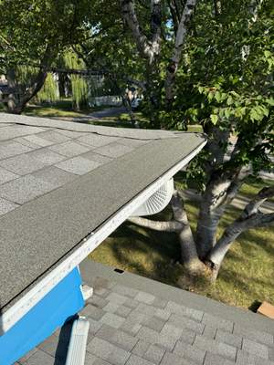 Turtle Shell gutter protection installation in Naperville, IL 60565, photograph 18