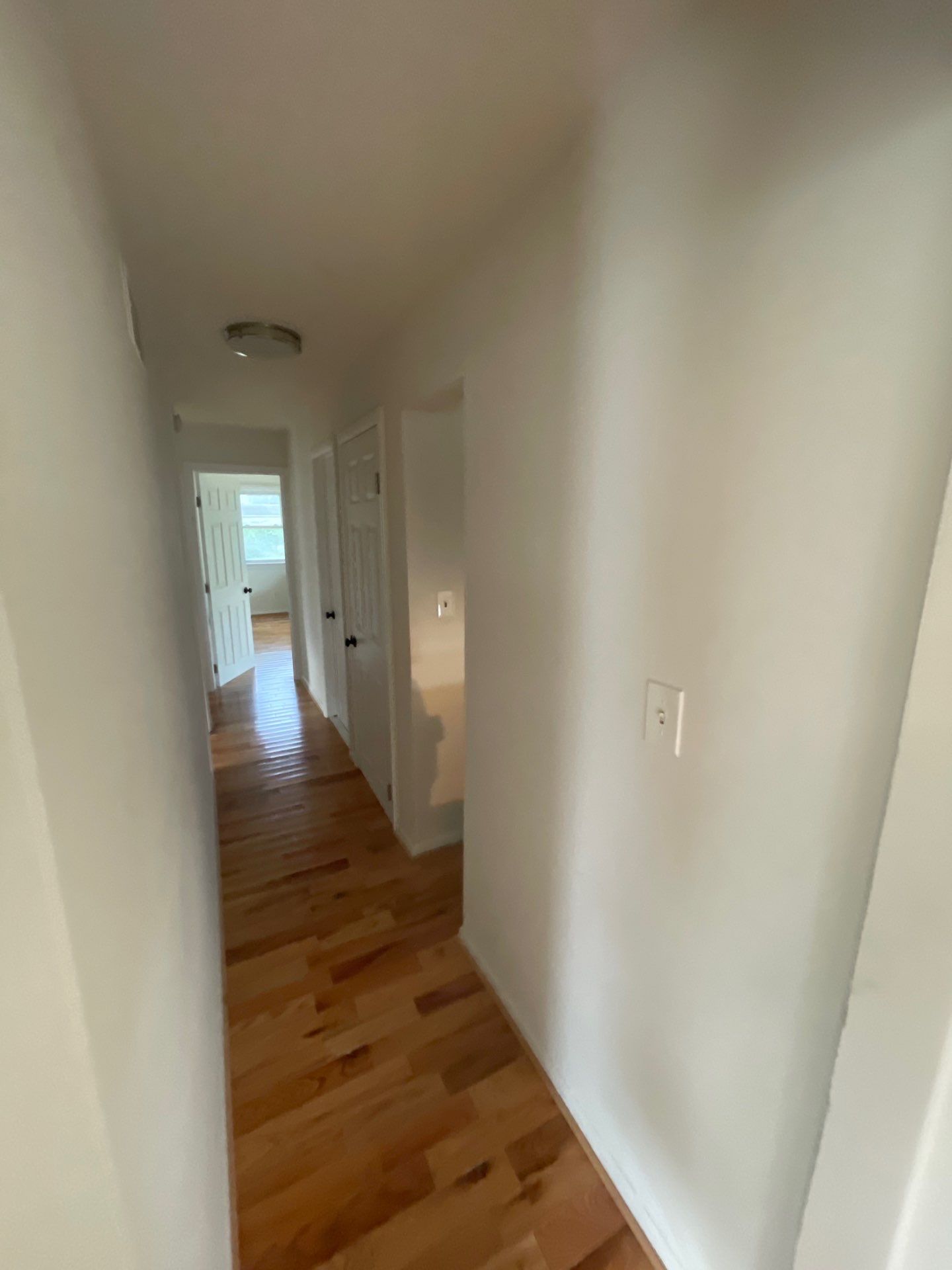 Interior Refresh in Glenside by Groovy Hues