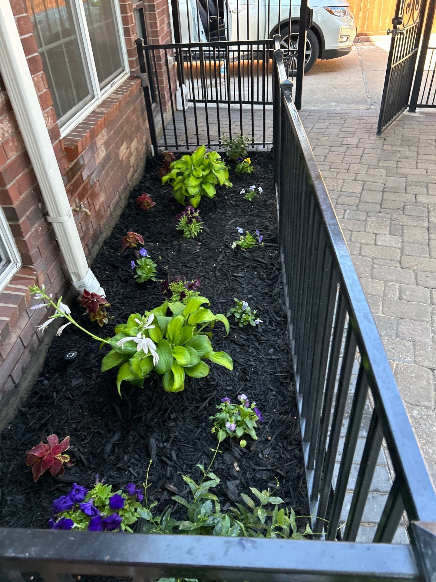 🌟 Exciting Project Showcase: Mr. & Mrs. Taylor's Transformation Journey!  by Texas Urban Elements