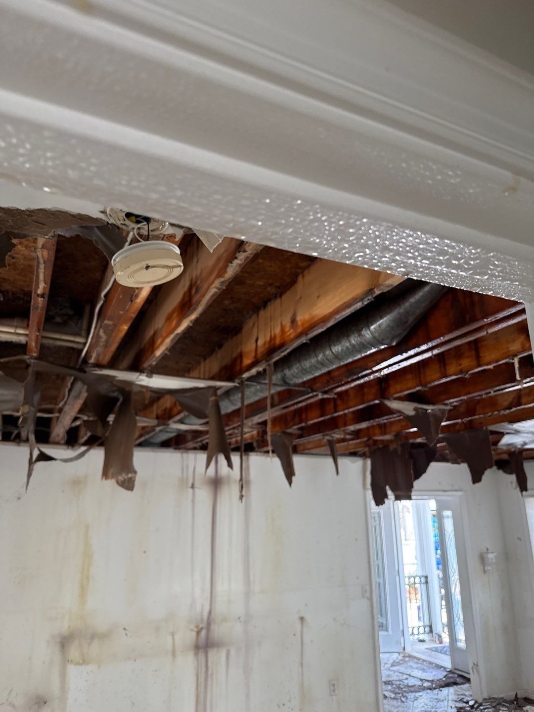Large‑Loss Water Damage, Structural Drying & Mold Remediation – Rehoboth Beach, DE by Healthy Home Solutions