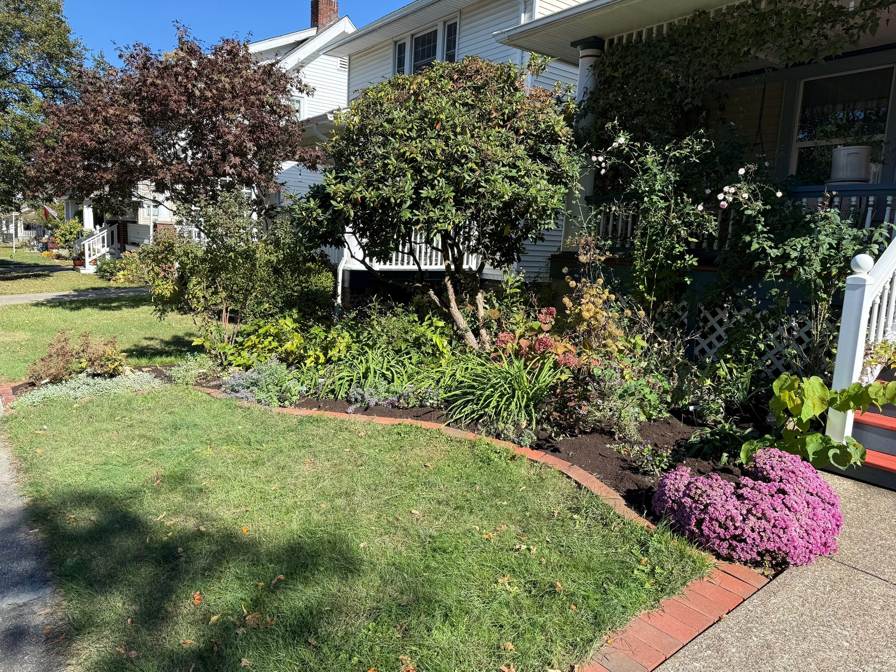 Majestic Garden Maintanance by Elm Rose Gardens