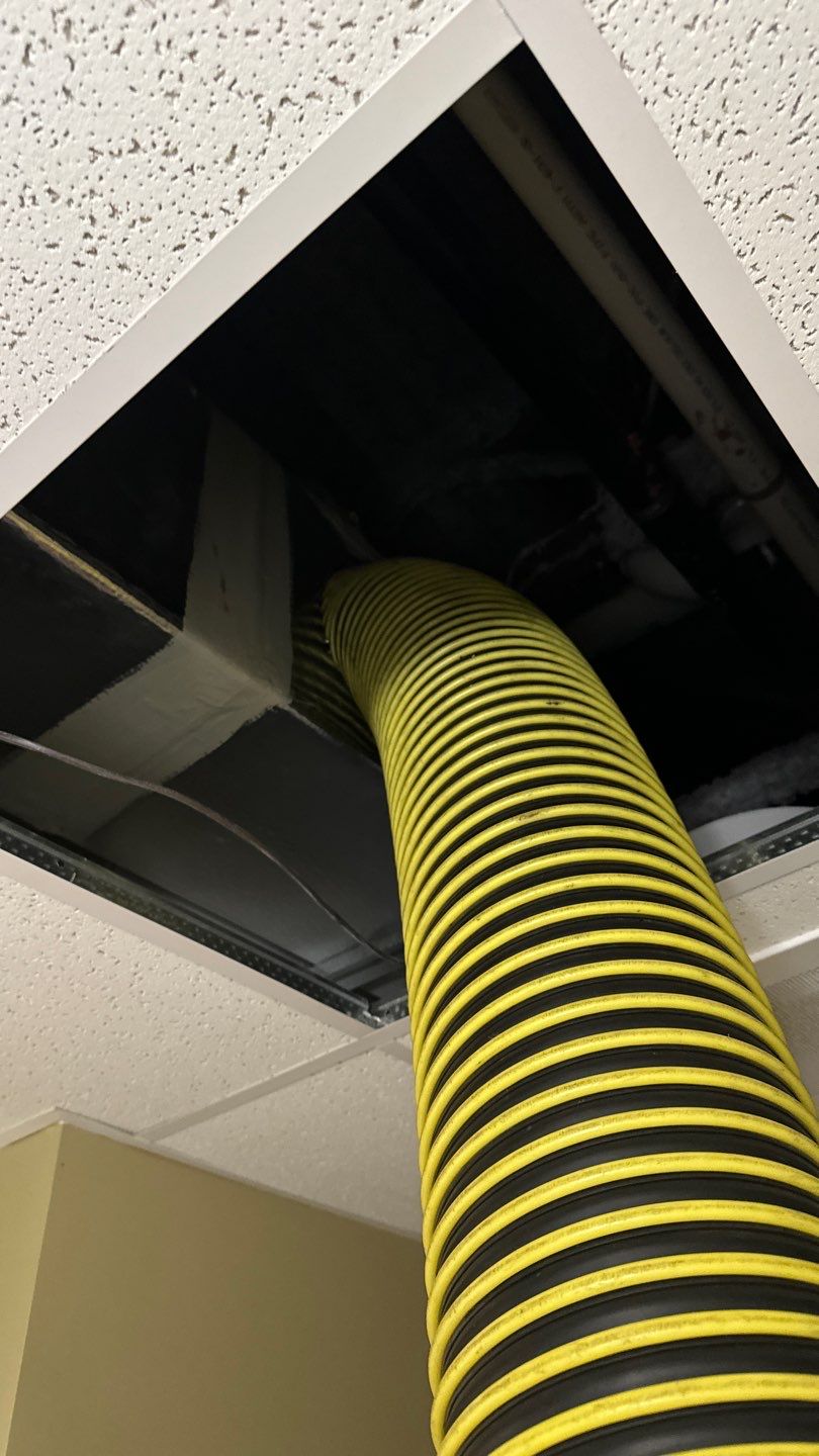 Commercial Air Duct Cleaning in Lake Mary by Hygienic Air, Inc