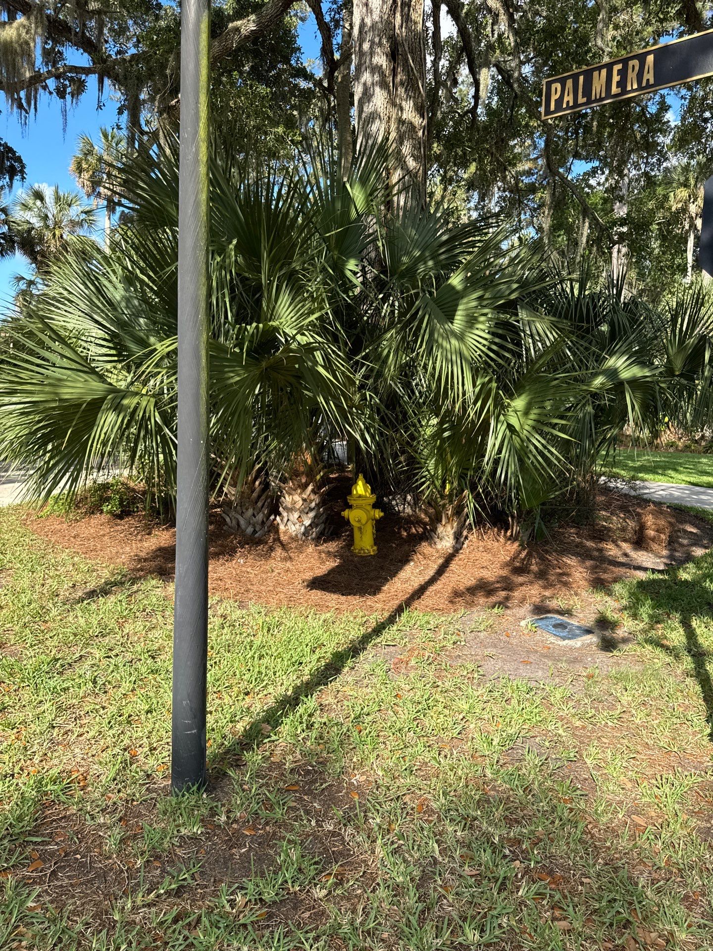 Residential | Pine Straw Install by ProGreen Services
